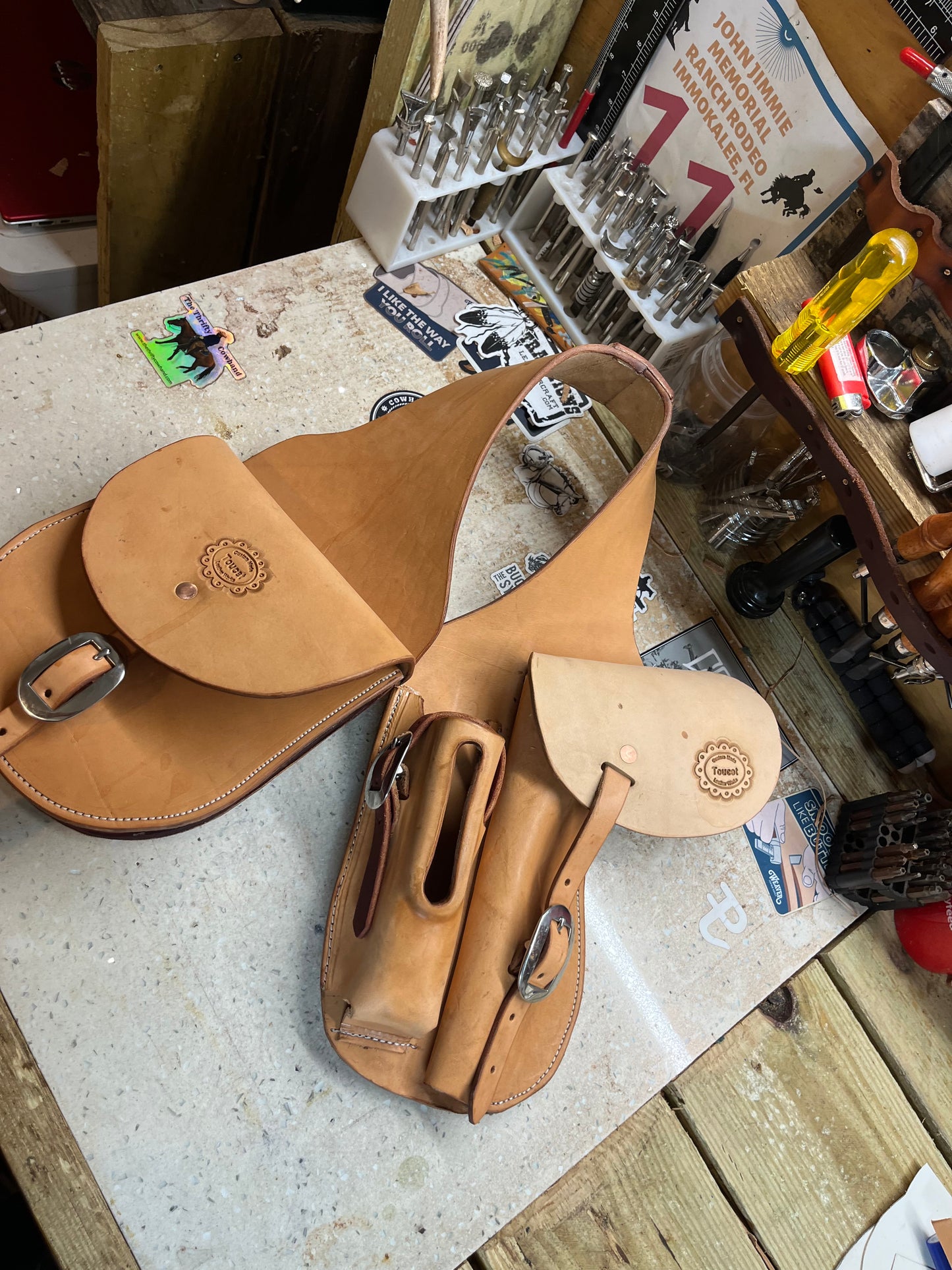 Saddle Bags and Garmin Holster