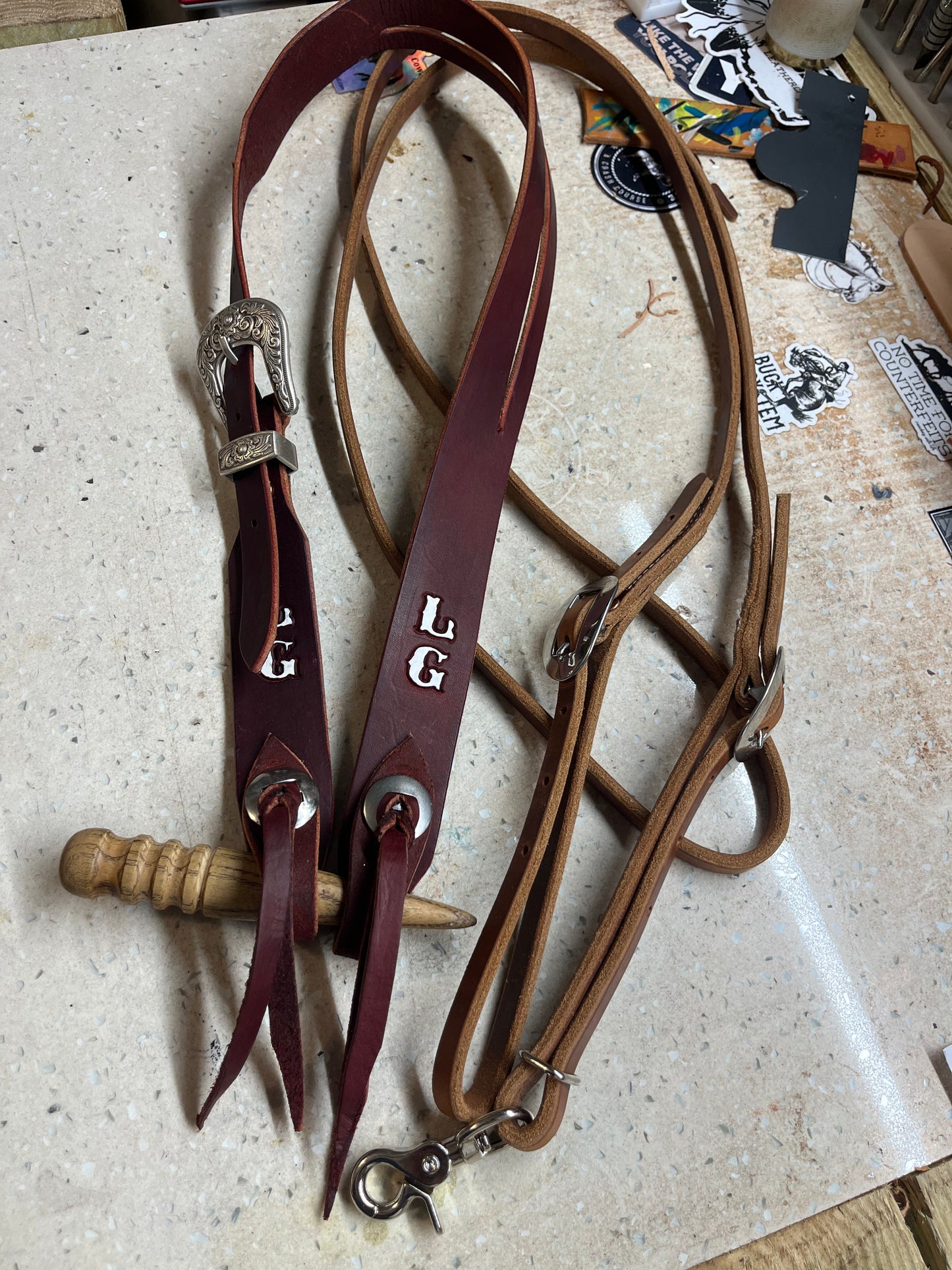 Headstall and Roping Reins