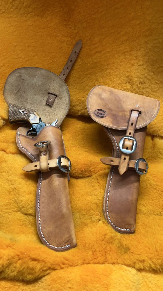 Pistol or Revolver Holster